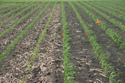 CORN GROWTH AND HEAT UNITS